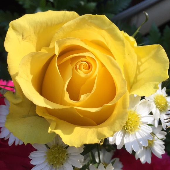 Meet your Posher, Michelle - Picture 1 of 1